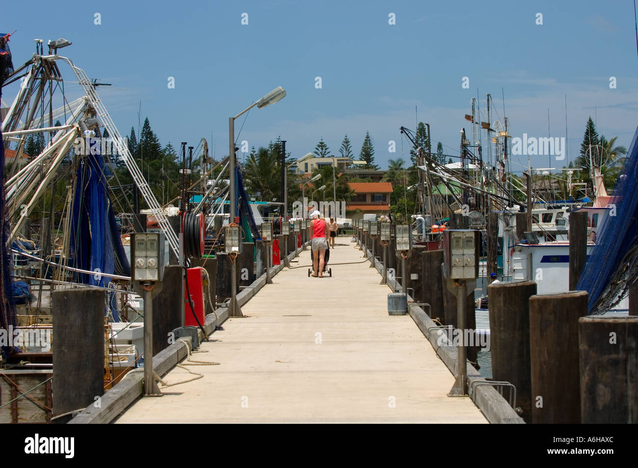 Due righe di molteplici attività di pesca i pescherecci con reti da traino legato lungo un dock Pier. Foto Stock