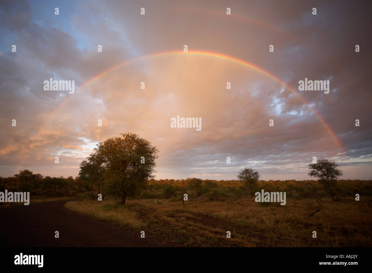 Completare Rainbow, Kruger Park, Sud Africa Foto Stock
