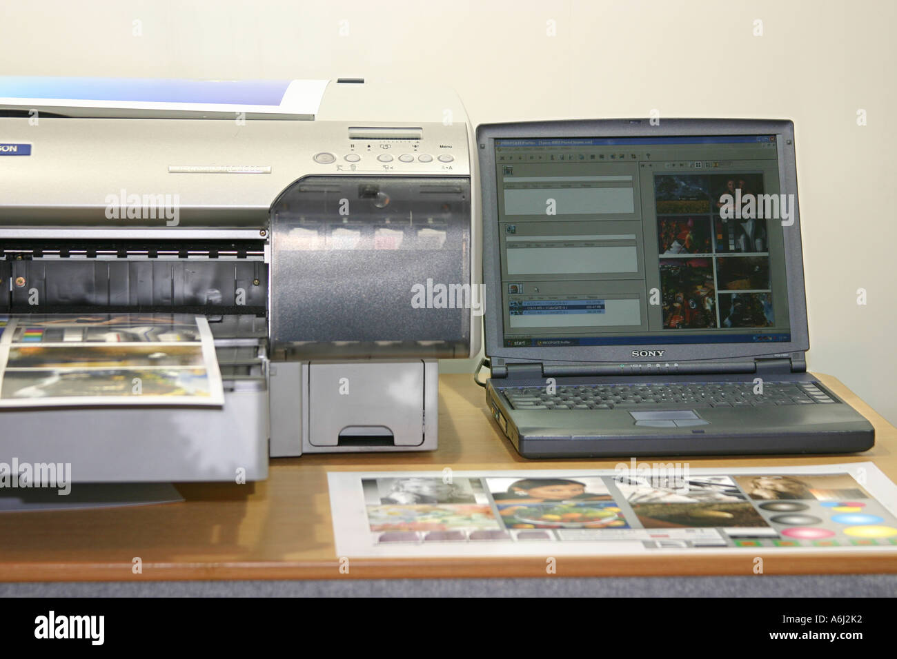 Output della stampante sistema di profilazione utilizzando collegato il  computer portatile e del software Foto stock - Alamy