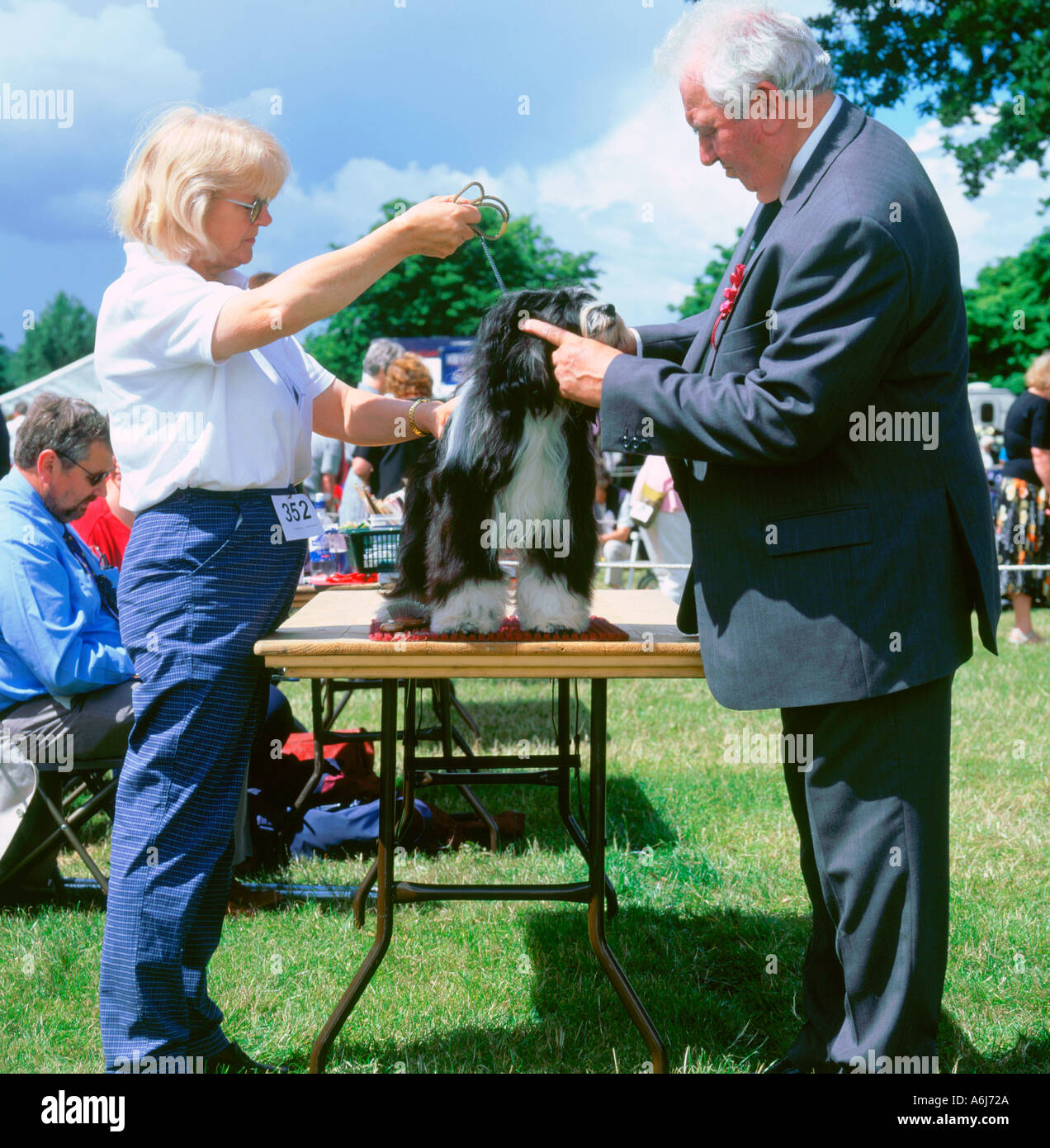 A giudicare Dog Show Foto Stock