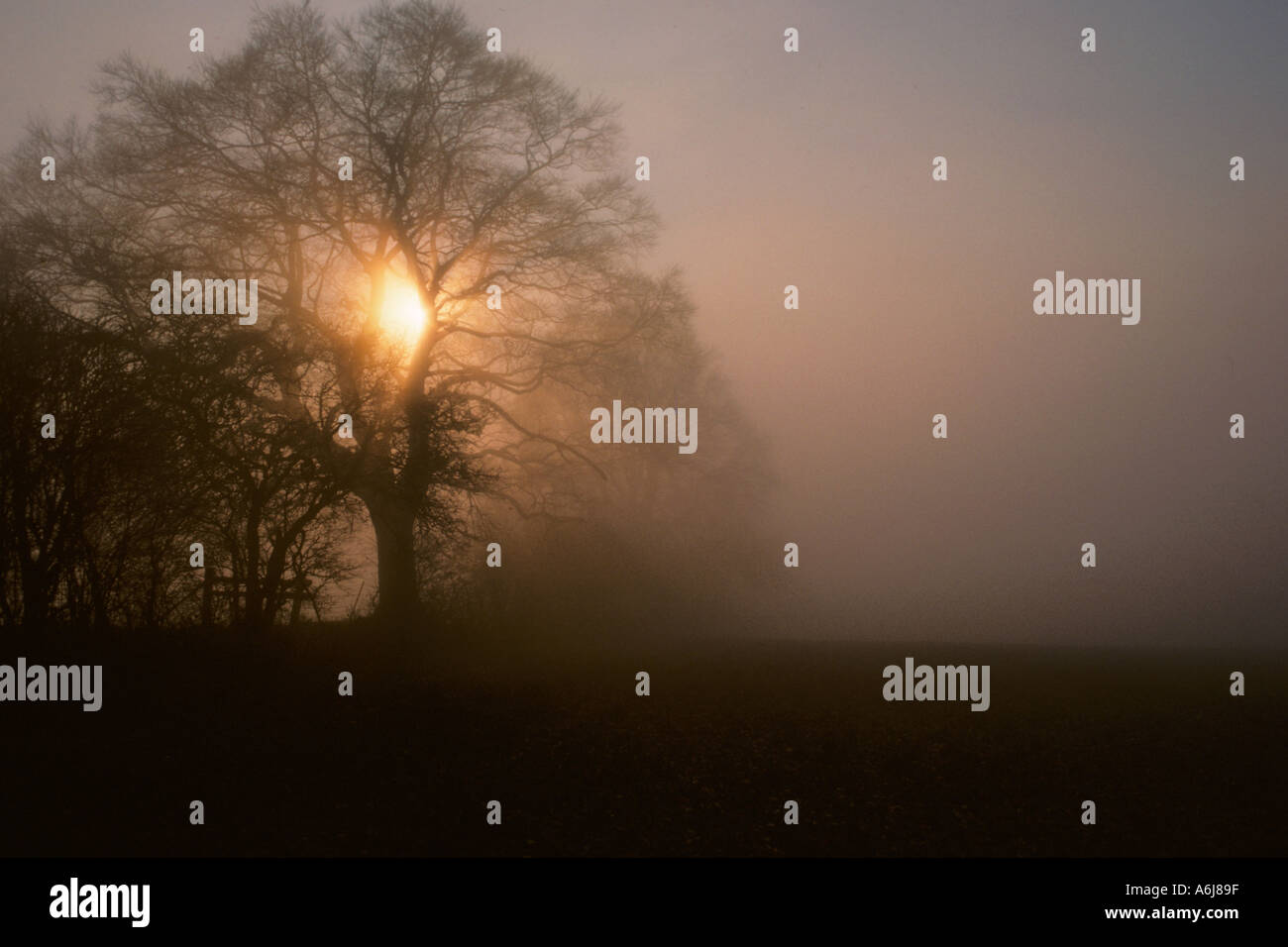 Tramonto in inverno Gade Valley Herts UK Foto Stock