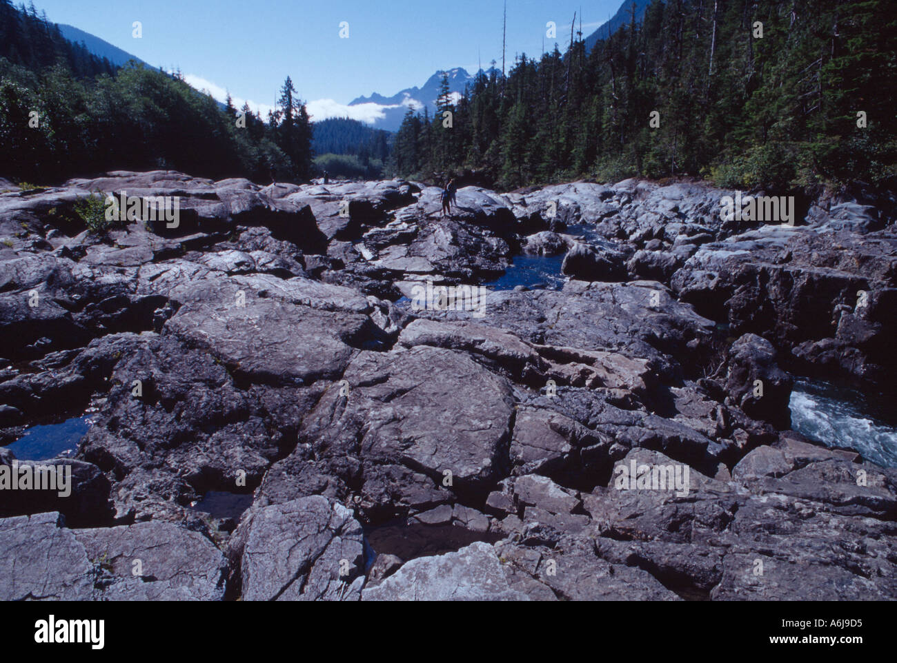 Boulder disseminata streambed Kennedy Fiume Vancouver Island British Columbia BC B C Canada 159239 Foto Stock