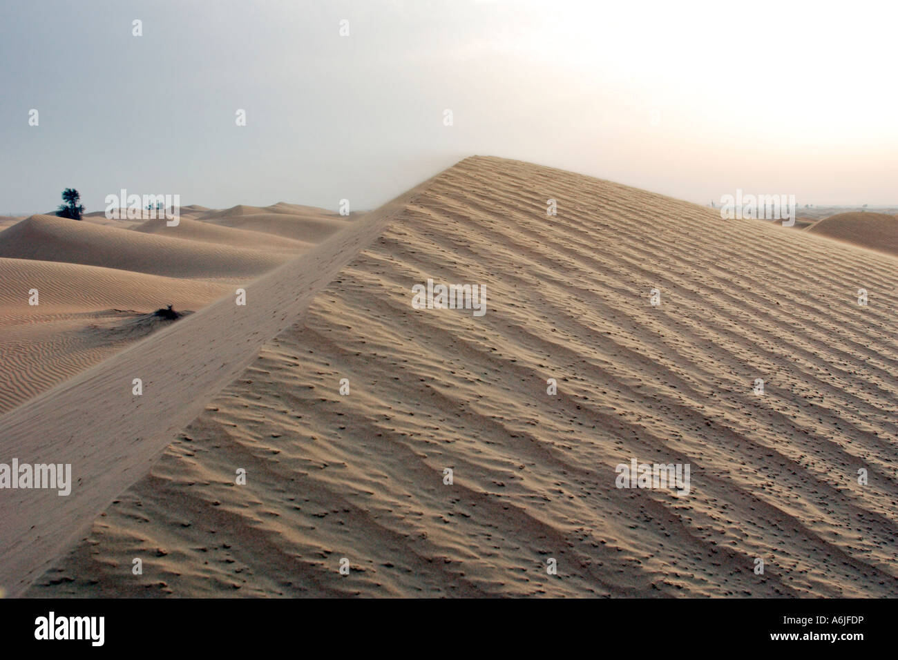 Dune nel deserto vicino a Dubai, Emirati Arabi Uniti Foto Stock