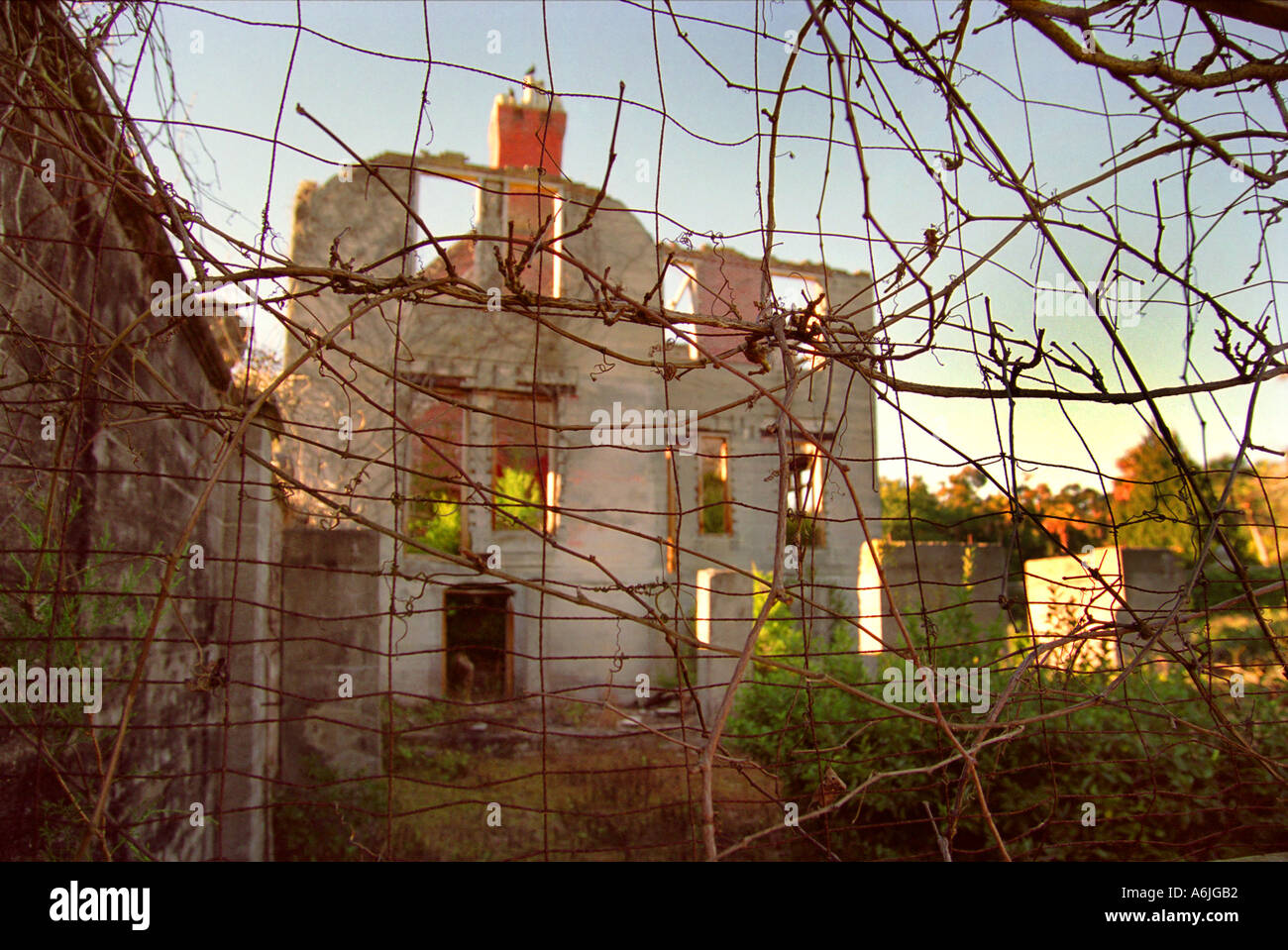 Rovine di dungeness mansion Su Cumberland Island georgia usa Foto Stock