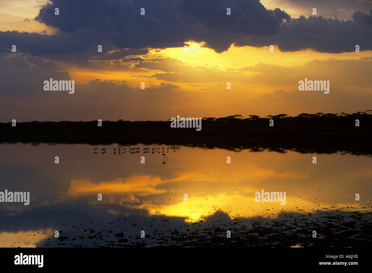 Tramonto sul lago Lagarja, Tanzania Foto Stock