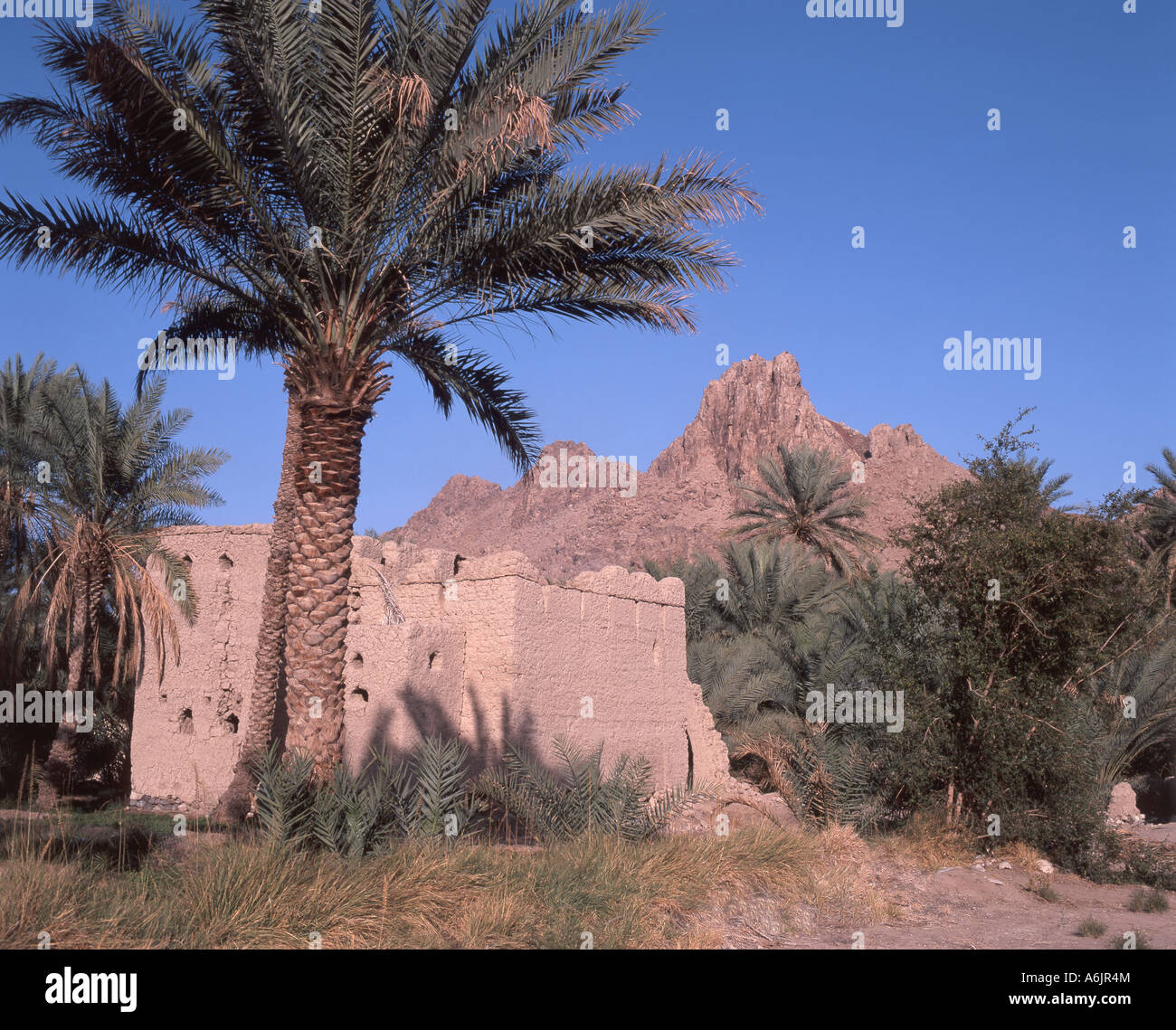 Rovine del forte di Nizwa, Nizwa, regione di ad Dakhiliyah, Sultanato di Oman Foto Stock