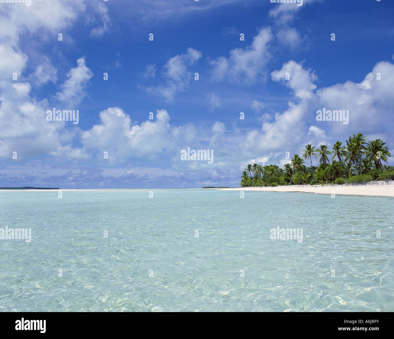 Tropical Beach, Kaafu Atoll, Repubblica delle Maldive Foto Stock
