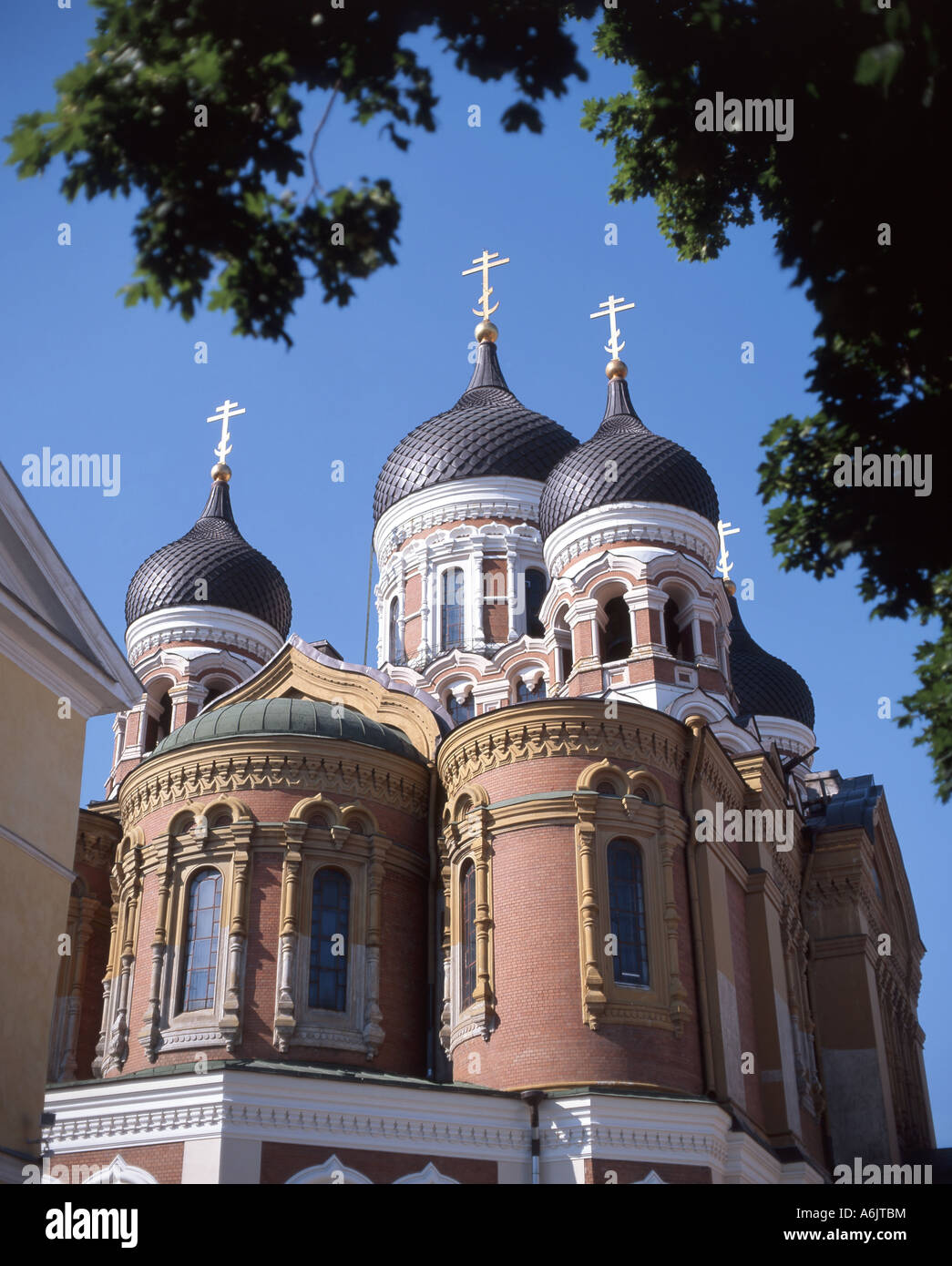 Cattedrale di Alexander Nevski, Città Vecchia, Tallinn, Harju, Estonia Foto Stock