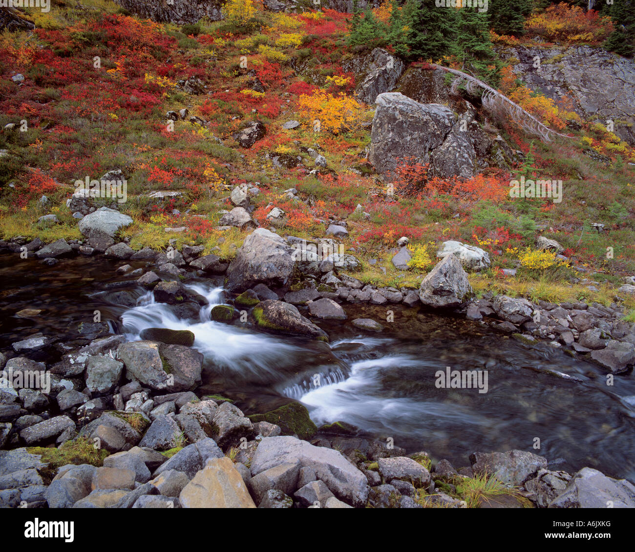 Bagley Creek scorre al di sotto di una collina rocciosa con colori autunnali di huckleberries erbe di montagna e cenere a Heather Prati Foto Stock
