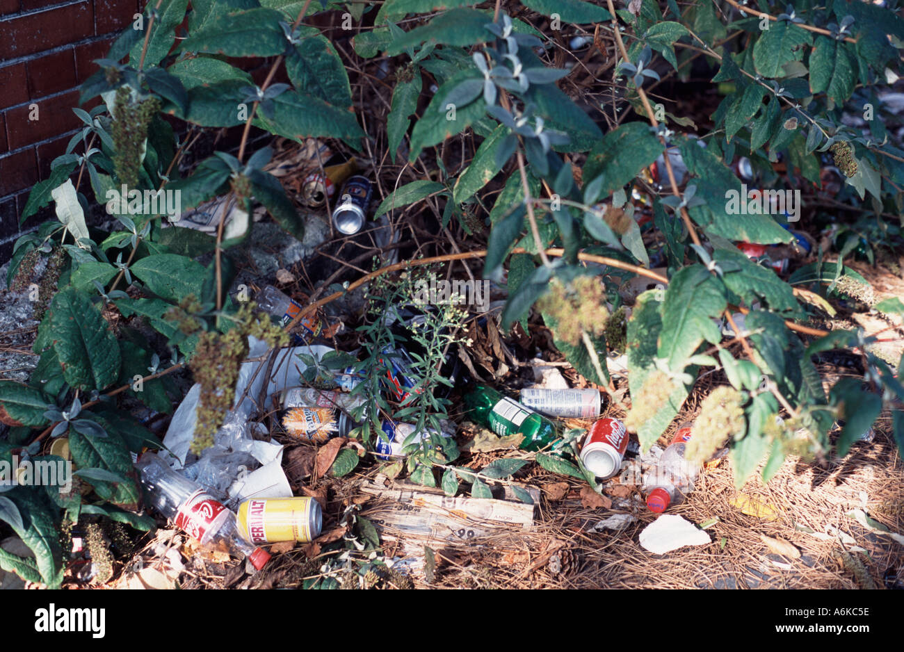 Litter - lattine e bottiglie scartate su un orlo di erba, London REGNO UNITO Foto Stock