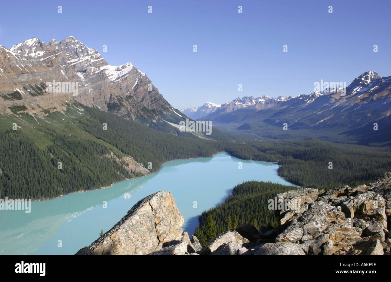 Peyto Lake nel Parco Nazionale di Banff nelle Montagne Rocciose di Alberta in Canada Foto Stock
