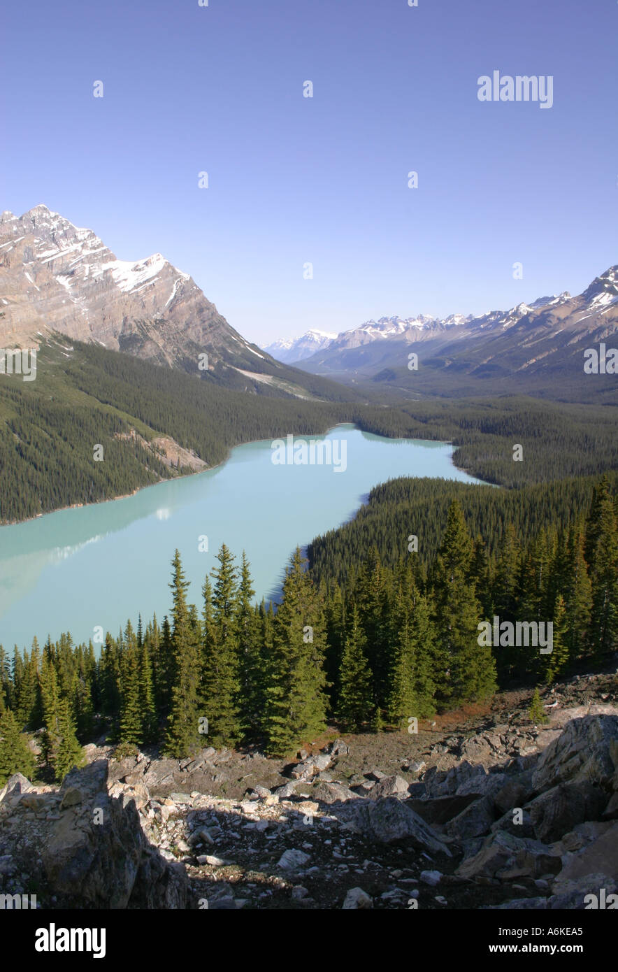 Peyto Lake nel Parco Nazionale di Banff nelle Montagne Rocciose di Alberta in Canada Foto Stock