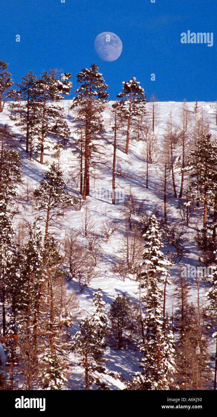 Luna crescente nel Bryce Canyon Foto Stock