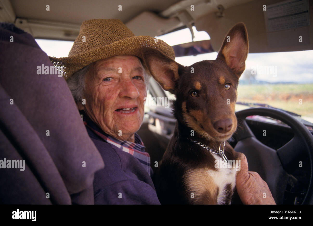 L'agricoltore e il suo kelpie pup, Australia Foto Stock