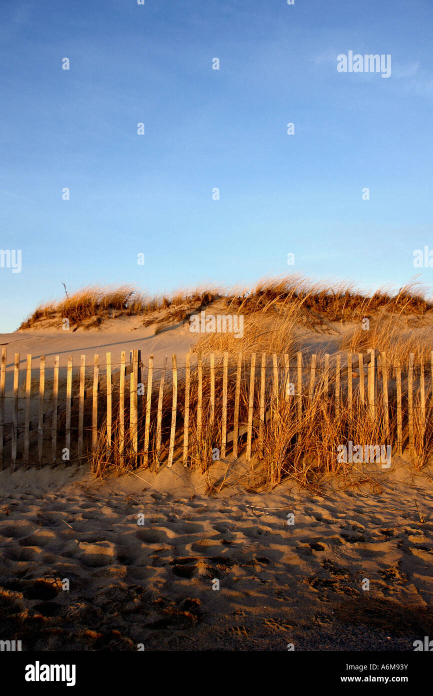 Nel tardo pomeriggio vista della spiaggia di dune di sabbia e una recinzione appena prima del tramonto a Cape Cod Massachusetts usa lo spazio di copia Foto Stock