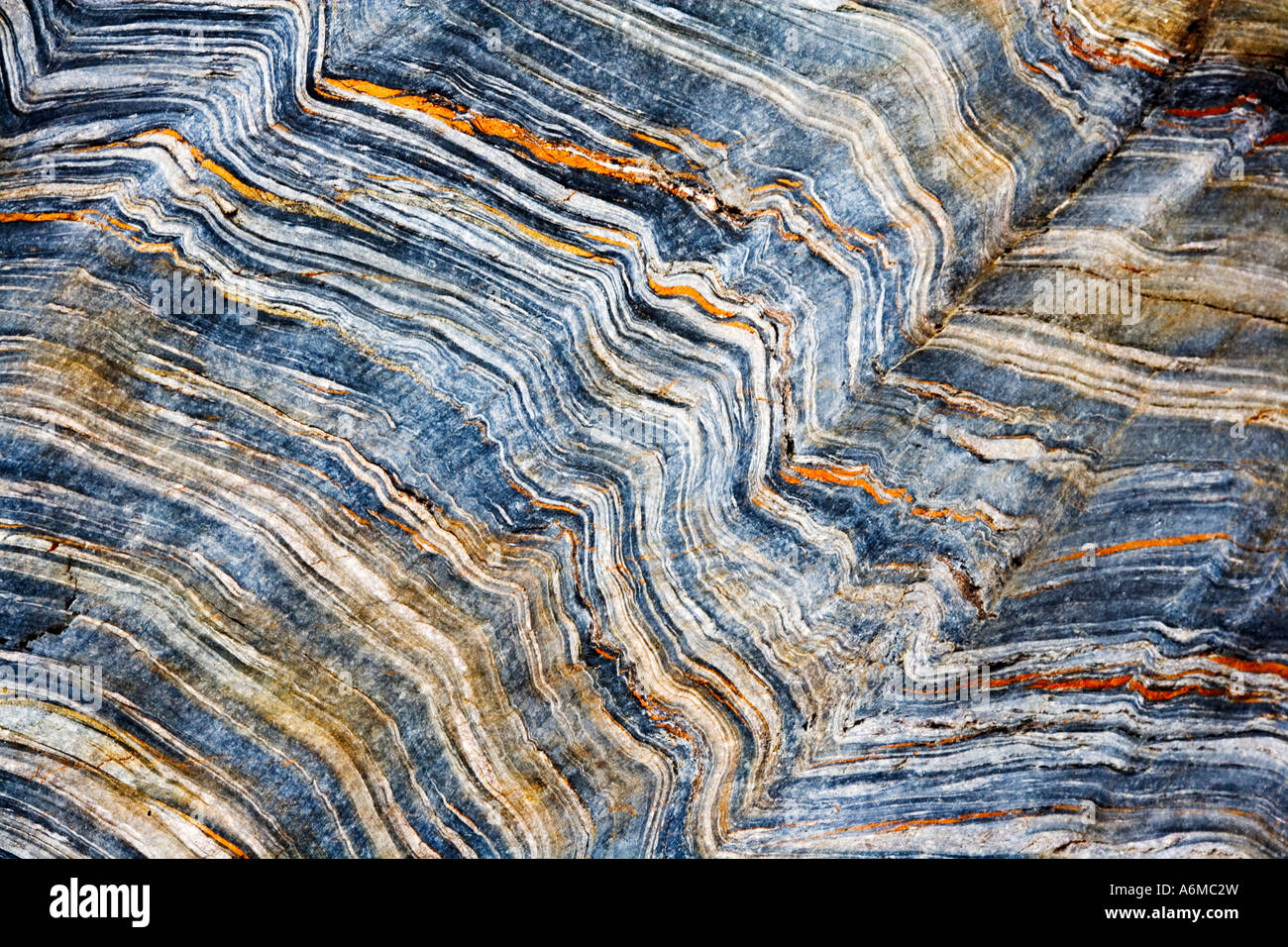 Abstract di close-up di strati di roccia prelevati a Lantic Bay, Cornwall, Inghilterra, Gran Bretagna, Regno Unito Foto Stock