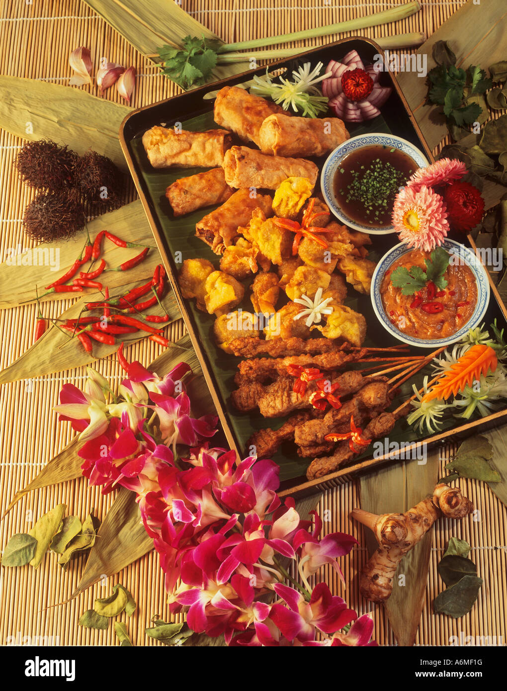 Won Ton Saté e involtini primavera del sud-est asiatico Foto Stock