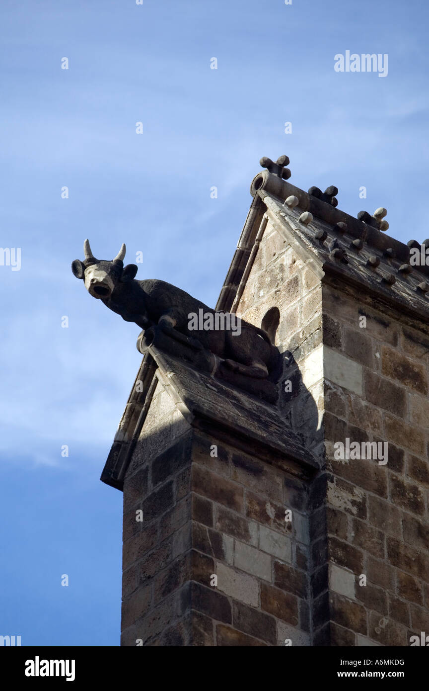 La scultura di cornuto animale sul tetto della cattedrale di Barcellona Carrer de la Pietat El Barri Gotic Barrio Gotico Barcellona Spagna Foto Stock