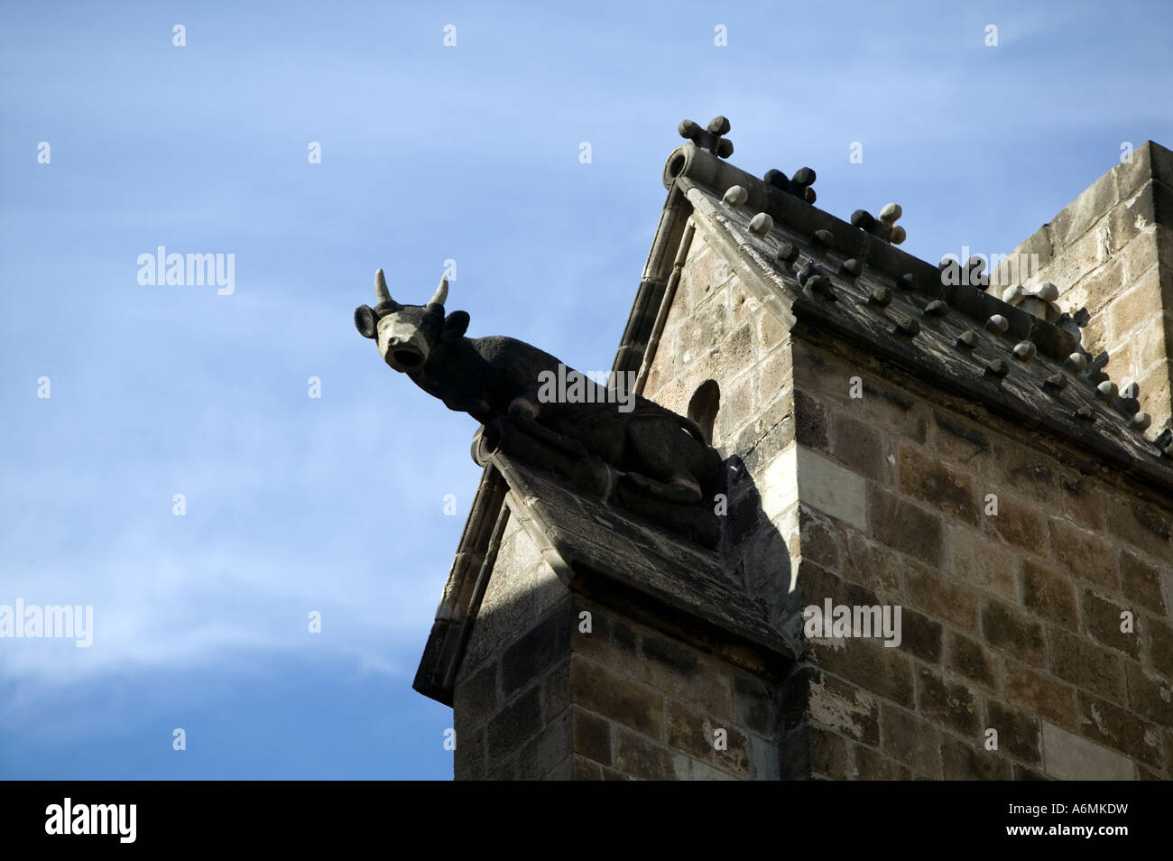 La scultura di animali con corna sul tetto della cattedrale di Barcellona Carrer de la Pietat El Barri Gotic Barrio Gotico Barcellona Spagna Foto Stock