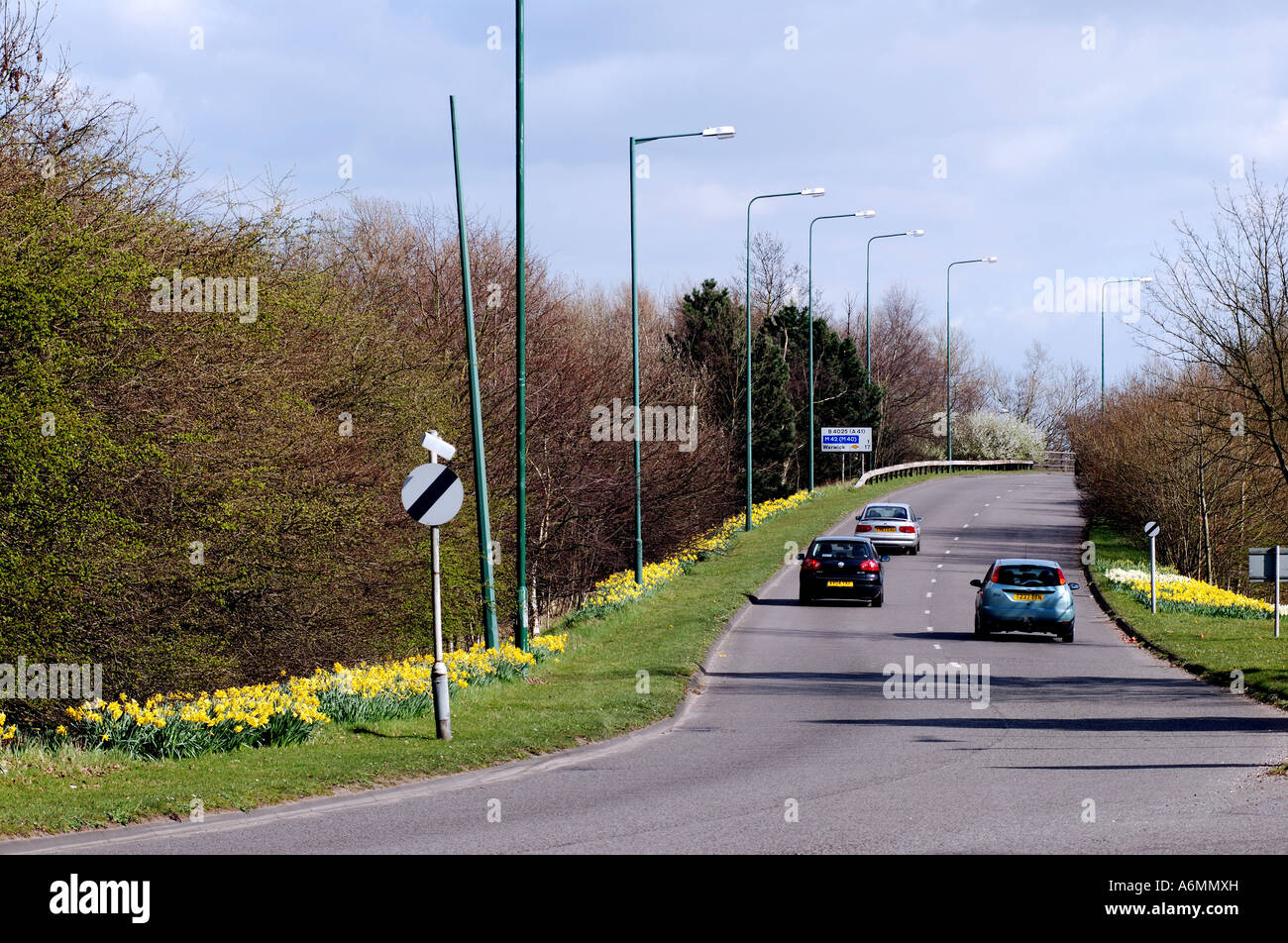 Strada fiancheggiata con narcisi tra il centro città e il by-pass, Solihull, West Midlands, England, Regno Unito Foto Stock
