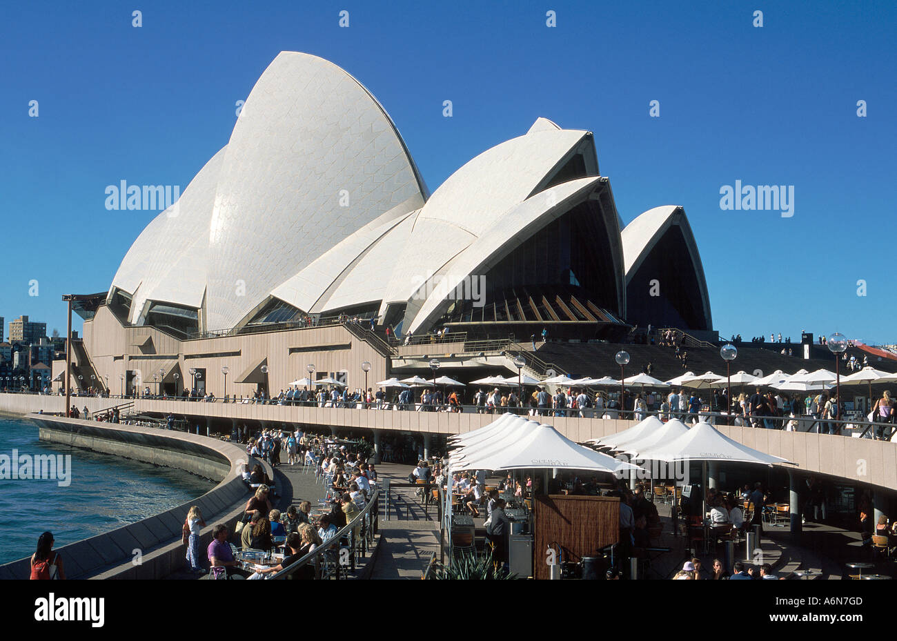 Opera House a Circular Quay di Sydney Australia Foto Stock
