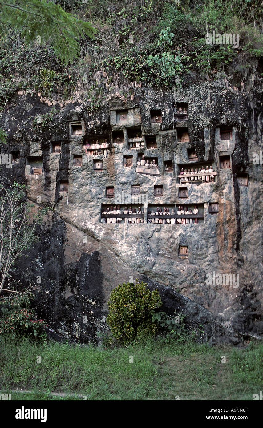 Legno intagliato effigi funebri denominata tau tau nella scogliera tombe di villaggio Lemo Tana Toraja di Sulawesi - Indonesia Foto Stock