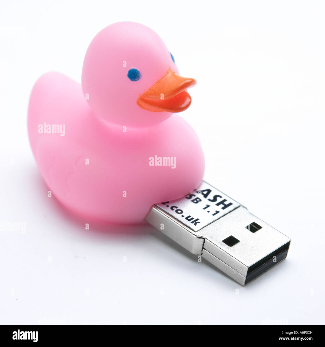 Anatra di usb su bianco Foto Stock