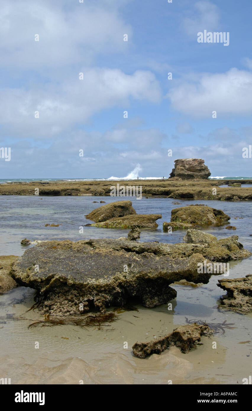 Sorrento Back beach Portsea Melbourne Victoria Australia Foto Stock