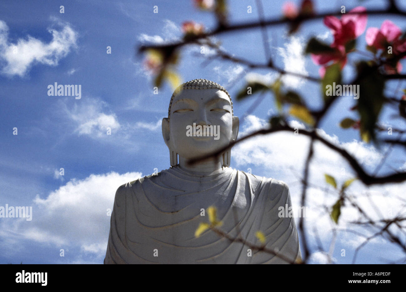 Una statua di Buddha a uno di Anuradhapura s templi nord dello Sri Lanka Foto Stock