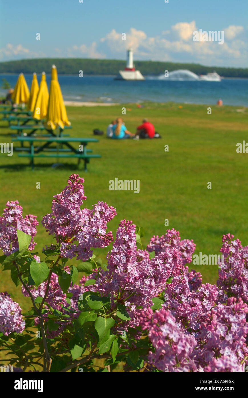 Stati Uniti Michigan isola di Mackinac Lago Huron picnic faro di fiori Foto Stock