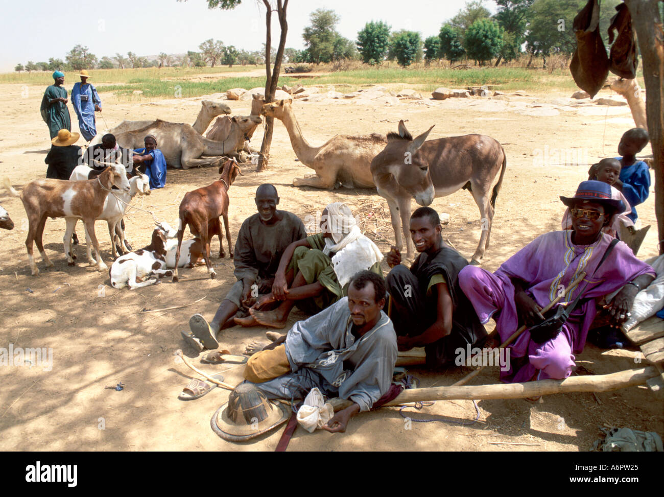 Gli uomini in un momento di relax a un mercato di bestiame. Mali Foto Stock