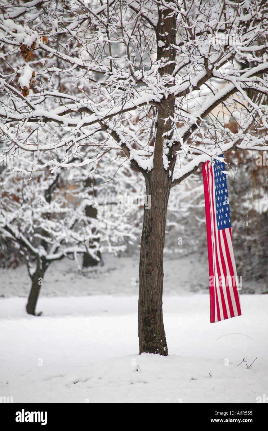 Una bandiera americana onde la brezza coperta di neve il ramo che pende dal in questo patriottico paese rurale scena Foto Stock