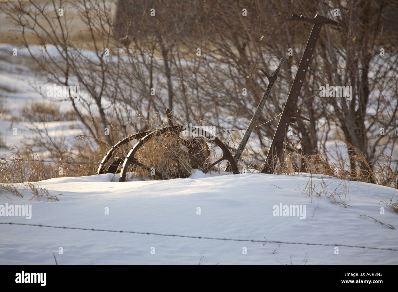 Una coperta di neve il vecchio cavallo e falciatrice New Scenic 5 posti in Saskatchewan in Canada Foto Stock