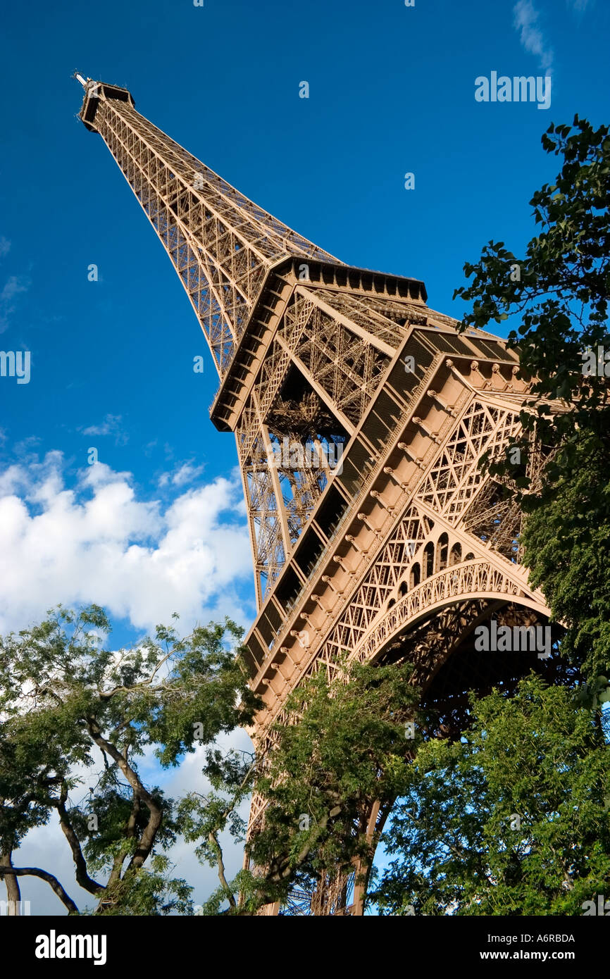 Torre Eiffel tra alberi e fogliame Parigi Francia Europa Foto Stock