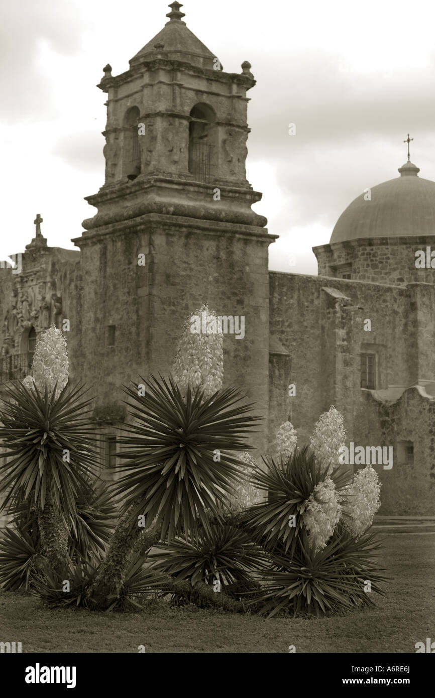 La missione di San Jose B&W Yucca e torre. San Antonio Texas spagnolo vecchia chiesa cattolica. Foto Stock