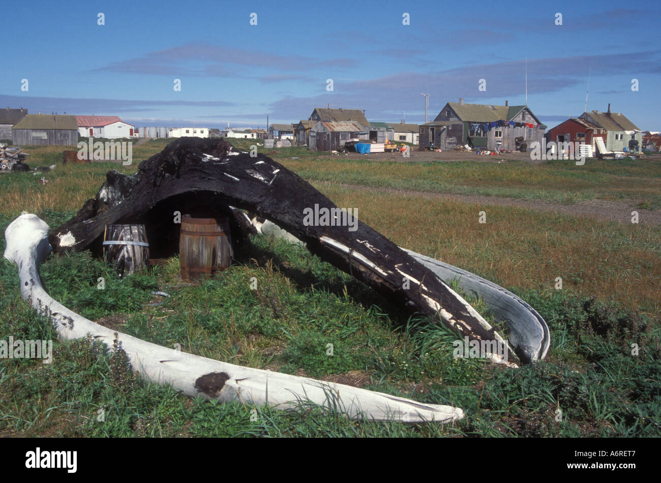 Bowheadwhale cranio e città Gambell, San Lorenzo, Isola del Mare di Bering, Alaska Foto Stock