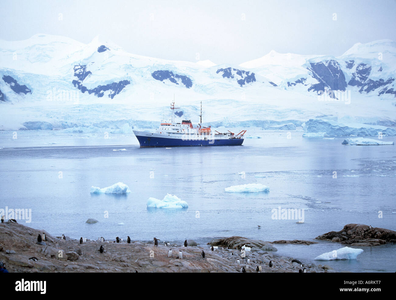 Scafo blu nave da crociera ancorata su un mare di ghiaccio in Antartide off Foto Stock