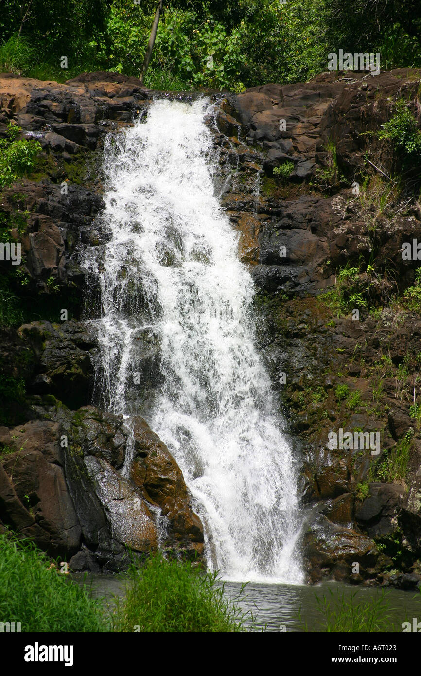Cascata cascata a Waimea Falls Oahu Hawaii Foto Stock