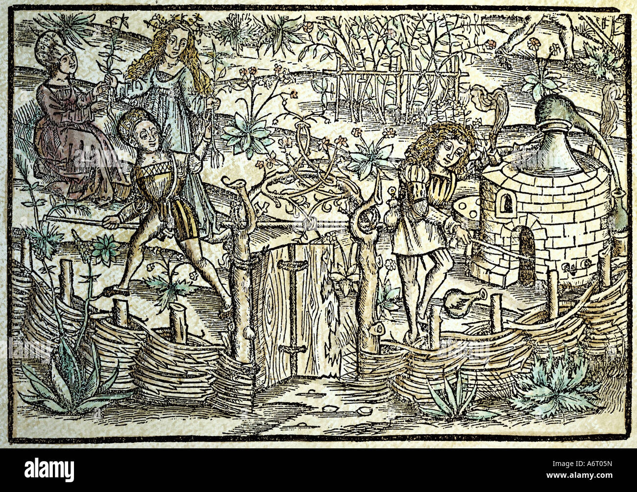 Medicina, libri di testo, erbe, 'Destillierbuch' di Hieronymus Brunschwig, , Foto Stock