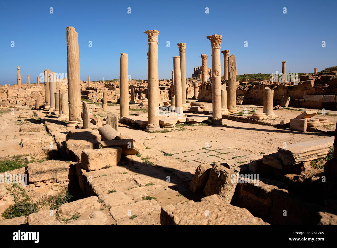 Le rovine della città romana di Sabratha in Libia Foto Stock