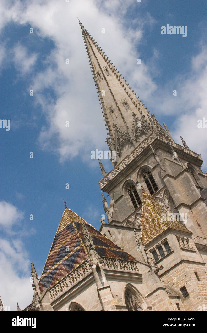 Cattedrale di Saint Lazare Autun costruiti dopo il 1120 al fine di accogliere i pellegrini accorrevano la presunta tomba di san Lazar Foto Stock