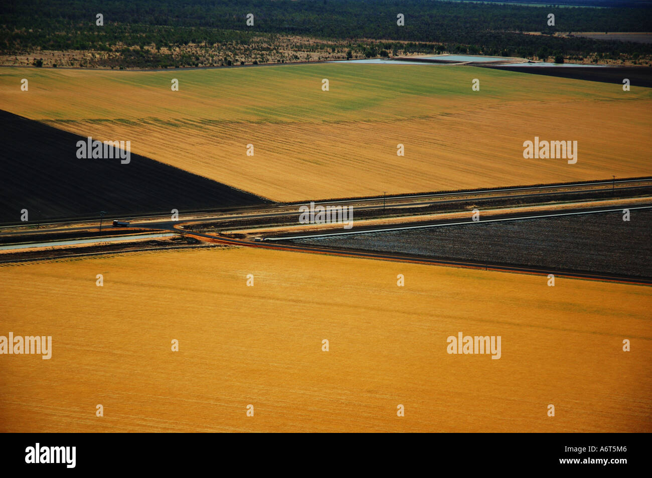 Campo di grano centrale di Queensland in Australia Foto Stock