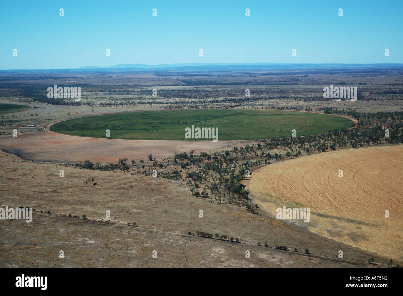 Queensland Crop Circles irriguo campo di grano centrale di Queensland in Australia Foto Stock