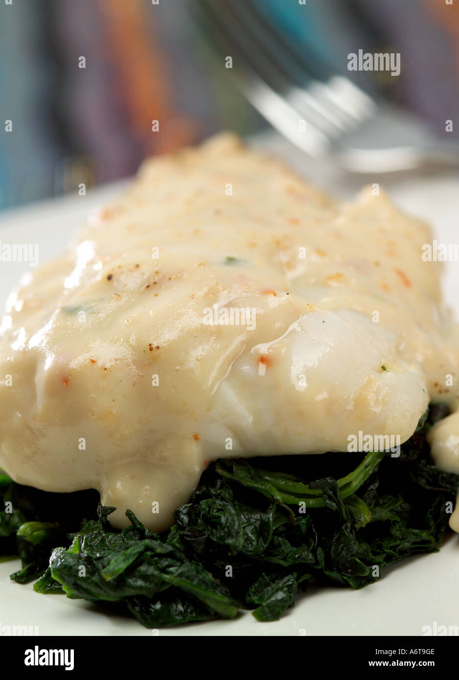 La pesca del pesce bianco Nasello haddodck merluzzo bianco con salsa alla panna su un letto di appassì Spinaci foglia Foto Stock