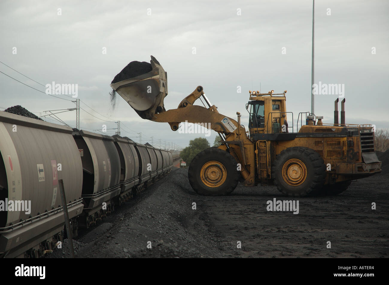 Caricatore a estremità anteriore e i vagoni ferroviari Queensland centrale della miniera di carbone Foto Stock