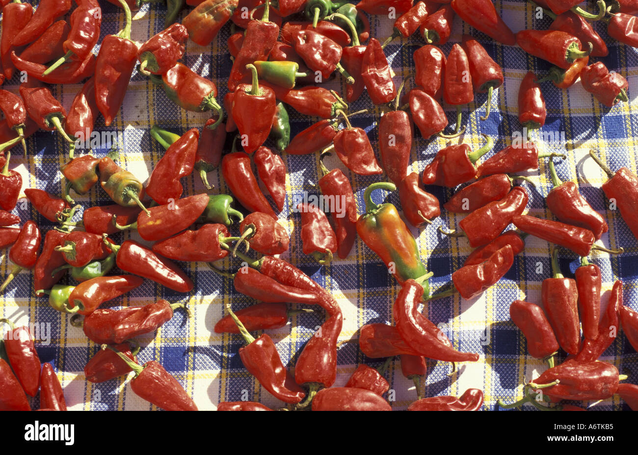 Africa, Tunisia, Kerkennah Isole. Peperoni rossi di essiccazione al sole. Foto Stock