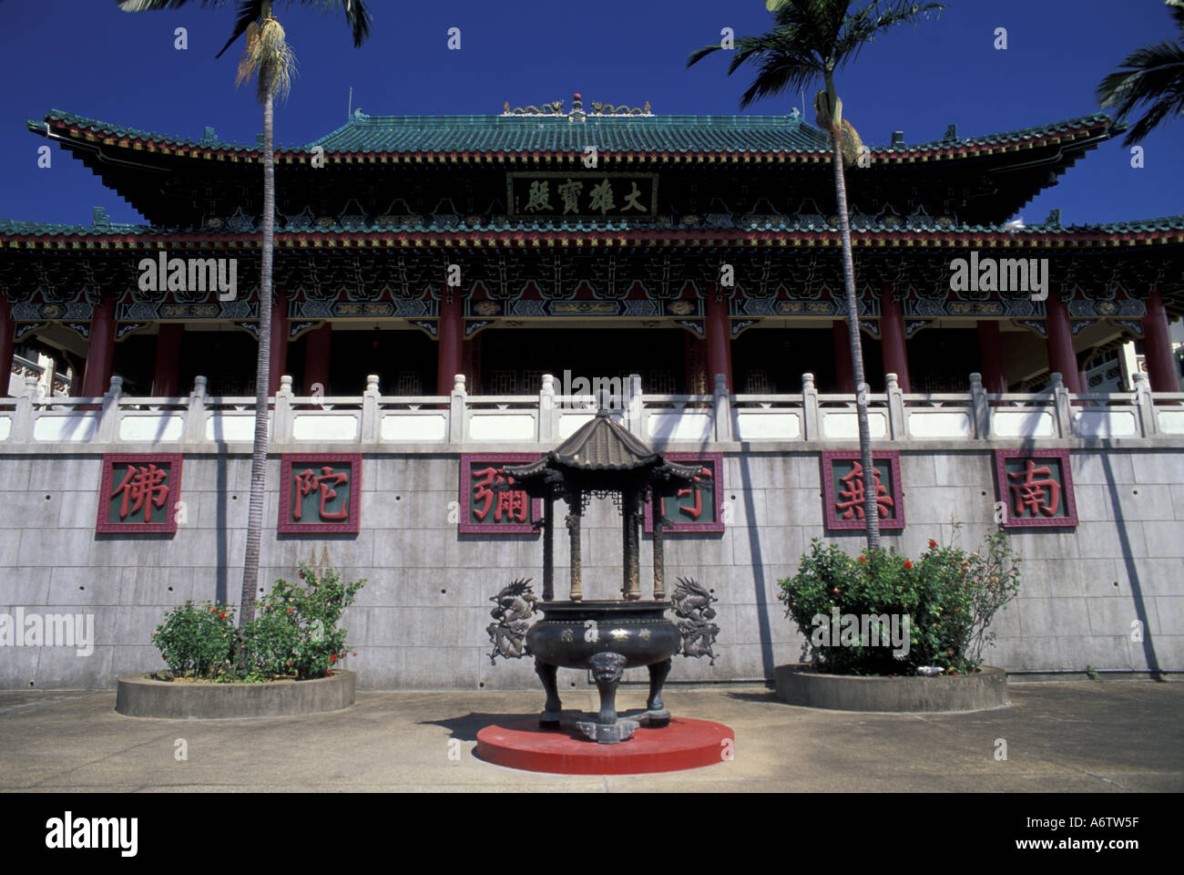 Hong Kong, il Territorio del Nord. Chuk spessore Lam Yuen, foreste di bambù del monastero di Buddha. Foto Stock