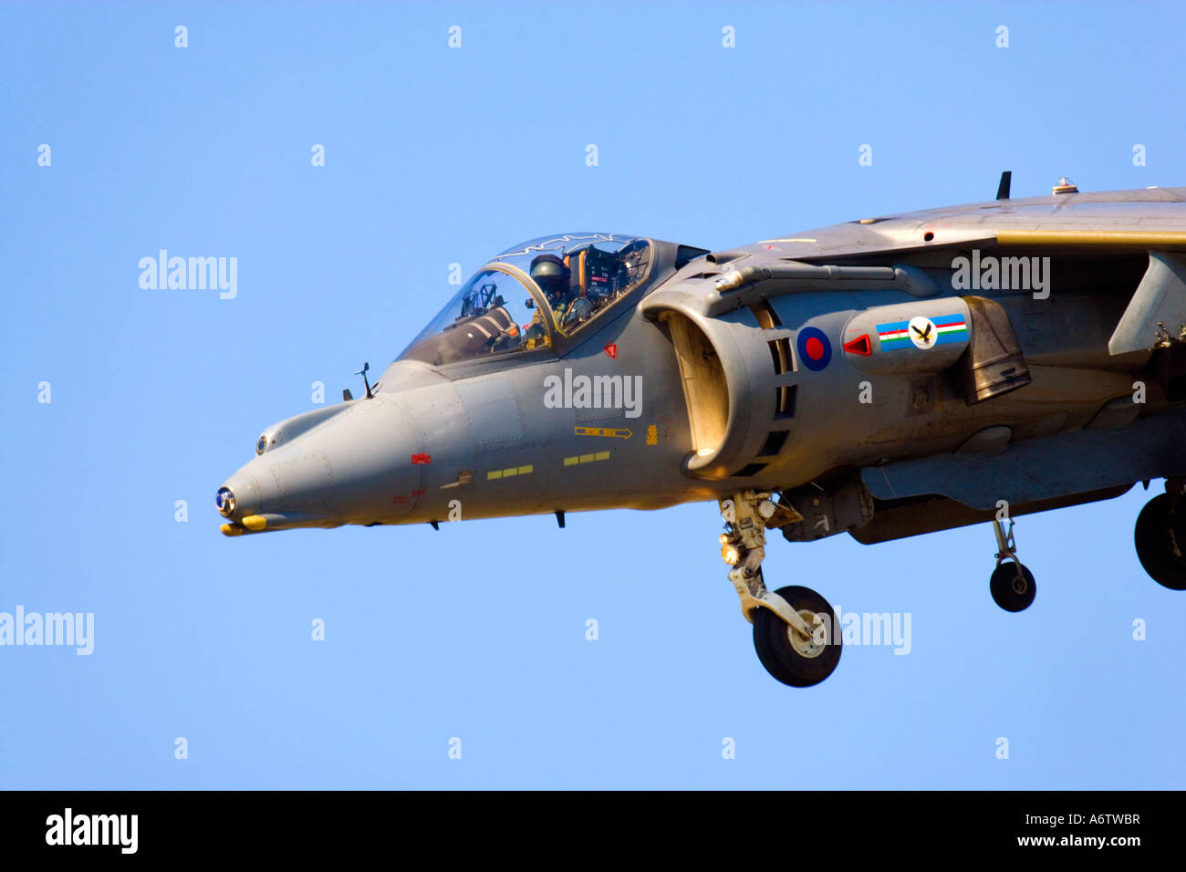 Harrier velivolo VTOL a Royal International Air Tattoo 2005 Foto Stock