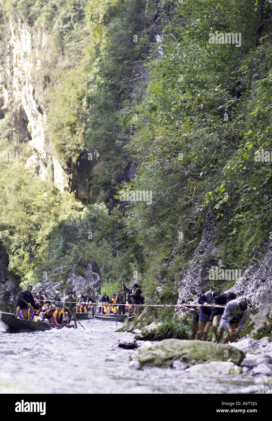 Cina fiume Yangtze forti muscoli e sinewy gambe di battellieri peapod come essi ceppo contro le corde per estrarre il segnale di PEA barche Foto Stock