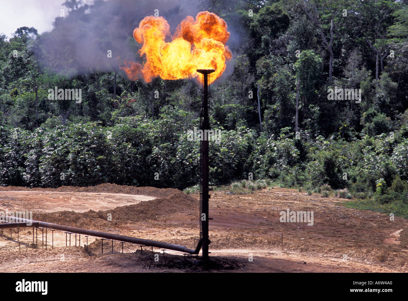 La riserva di gas naturale onshore di Urucu gestita da Petrobras utilizza un aumento di svasatura per bruciare il metano in eccesso come sottoprodotto della perforazione. Foto Stock